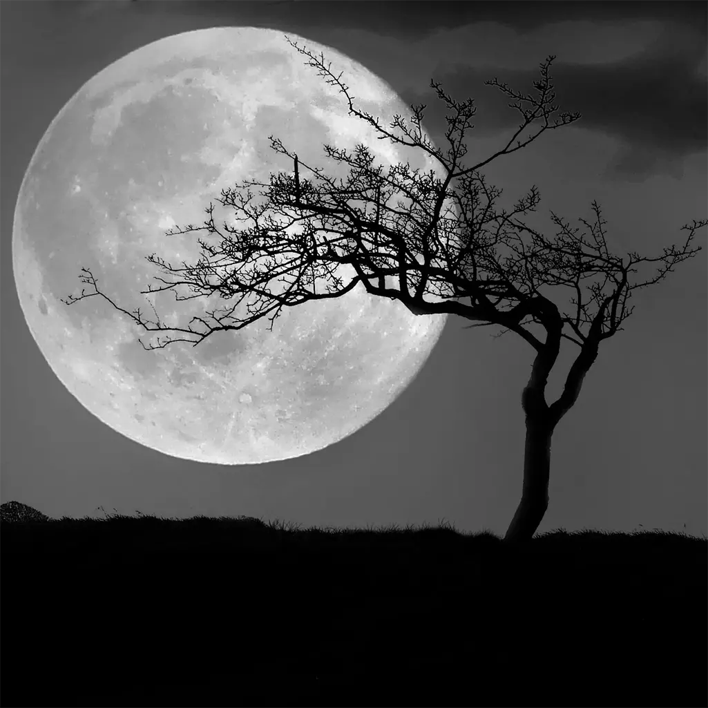 A picture of the full moon