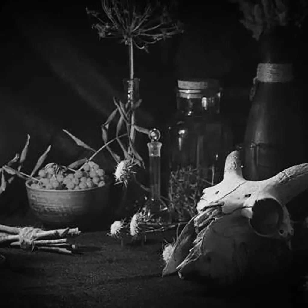 A ram's head and some spell ingredients