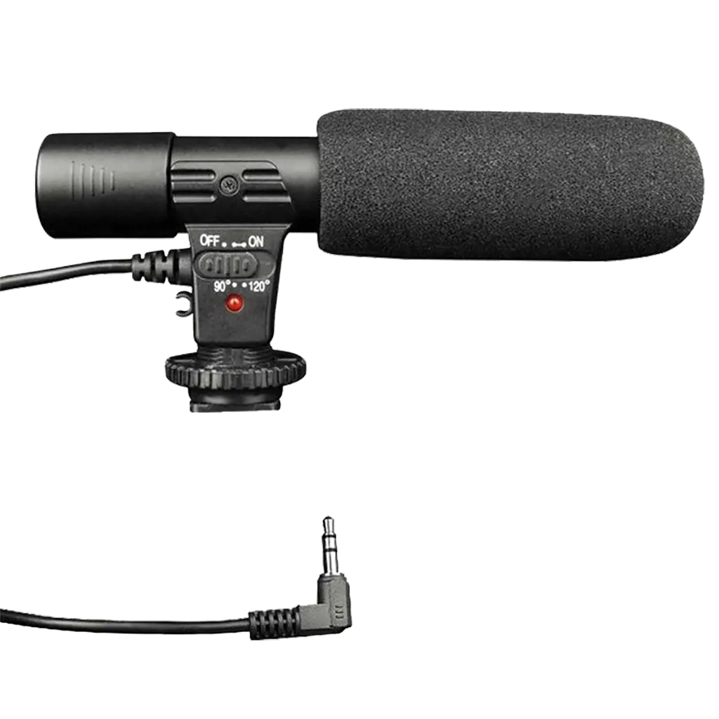 External stereo microphone for a video camera